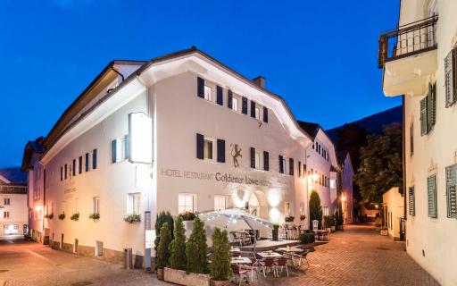 Goldener Löwe - Anno 1773 - Housity