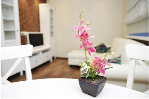 Apartment on Bulvar Mira 8 - Housity