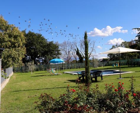 Parcoverdepino - Housity