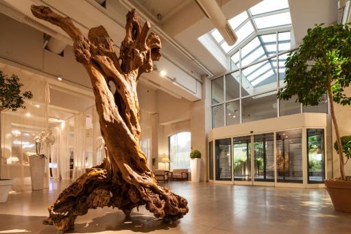 Cosmo Hotel Palace - Housity