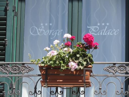 Sorge Palace - Housity