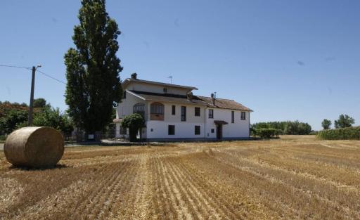 Antico Pioppo - Housity