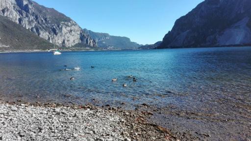 le case di Giulia - Housity