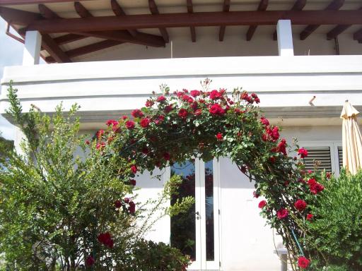 B&B Kazakova - Housity