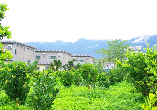 Hotel Jajowan - Housity