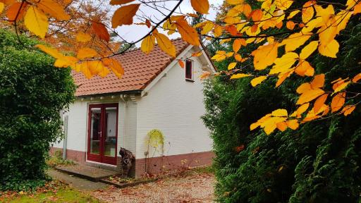 Dennenhuis - Housity
