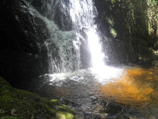 Fazenda Monte Verde A Morada do Muriqui - Housity