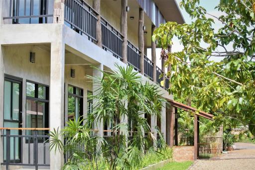 Le Cocotier - Housity