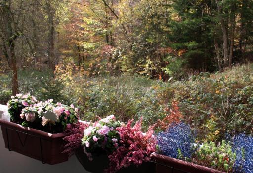 Kurhaus Apartment King Size Bett 180x200 - Housity