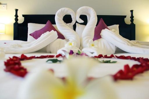 Cozy Boutique Hotel - Housity