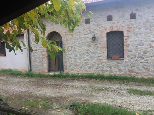 Il pino marittimo - Housity