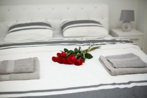 Apartman Centar - Housity