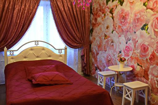 Roses Apartment in the city center - Housity