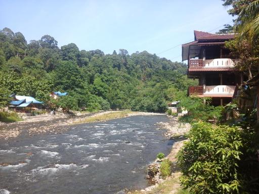 Fidodido Guesthouse & Jungle Trekking - Housity