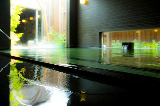 Kansai Airport Spa Hotel Garden Palace - Housity