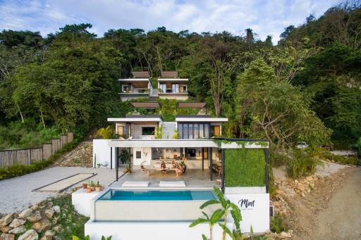 Mint Santa Teresa - Adults only - Housity