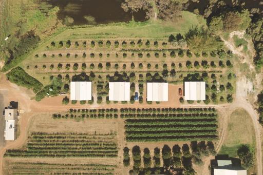 Swan Valley Sisters - Housity