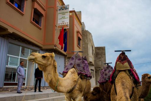 Le Gite De Sidi Rbat - Housity