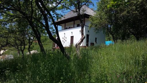 Cottage Poe - Housity
