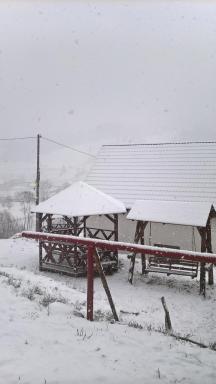 Vila Bucovina - Housity