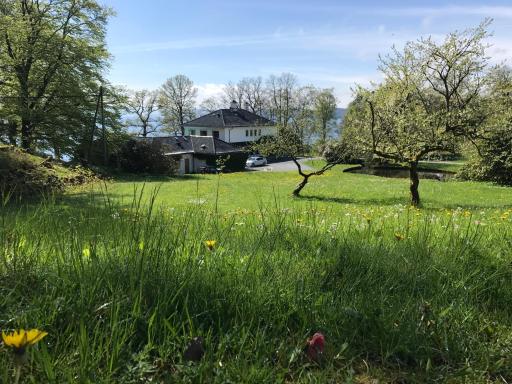 Villa Moldegaard Apartment - Housity