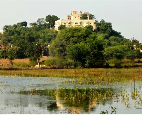 Titardi Garh- 18th Century Castle Homestay - Housity