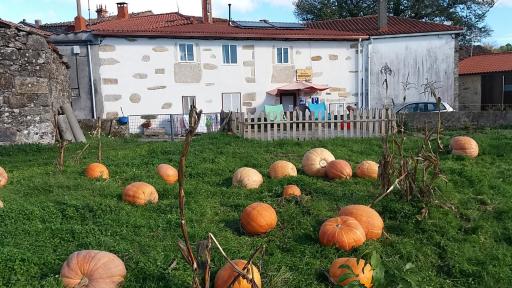 Albergue a Casina di Marcello - Housity