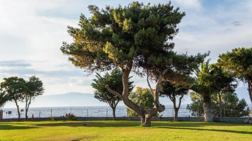 Punda 4 Seasons - Housity