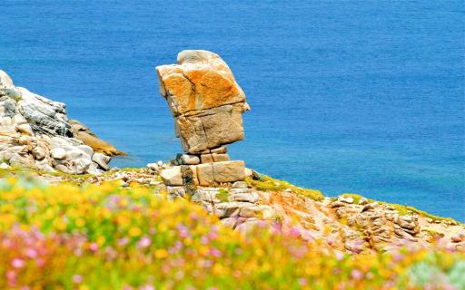 Le Case di Felicita - Housity