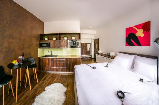 Fifty Shades of Gray studio, city center - Housity