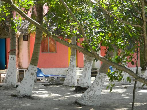 Cabañas Camping Ria Celestun - Housity