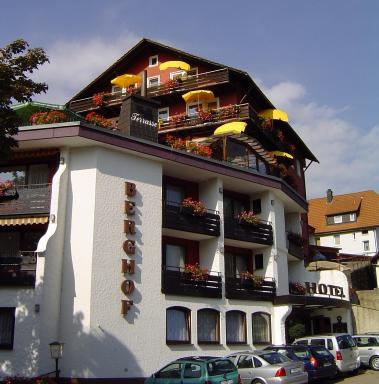 Panoramahotel Berghof - Housity