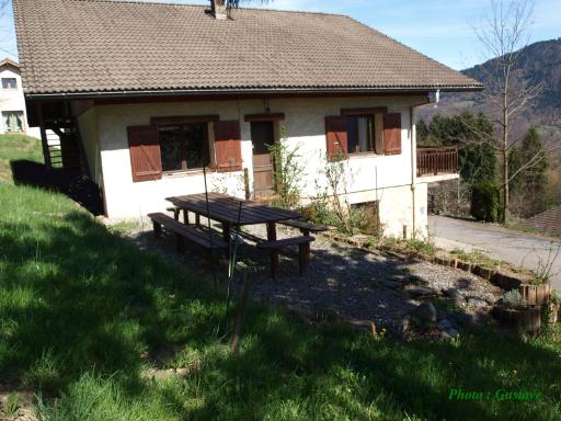 Abeille Saint Michel - Housity