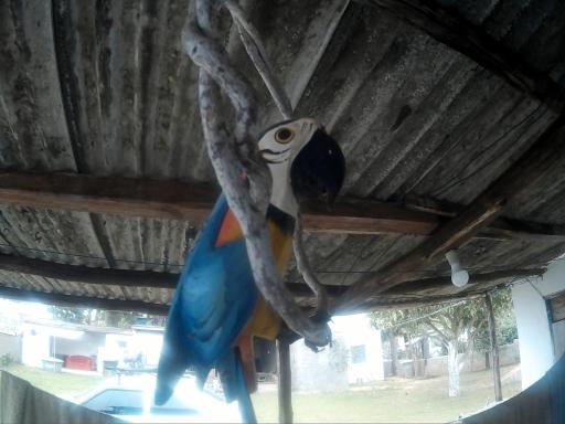 Pouso e Camping do Miguel - Housity