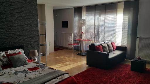 Apartment Rosy - Housity
