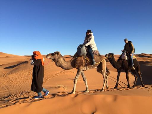 Sahara camel tours camp - Housity