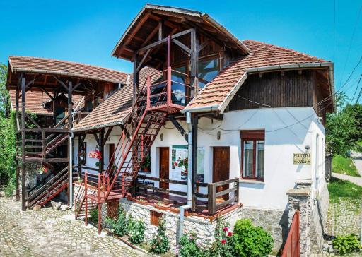Pensiunea DORA SASCA - Housity