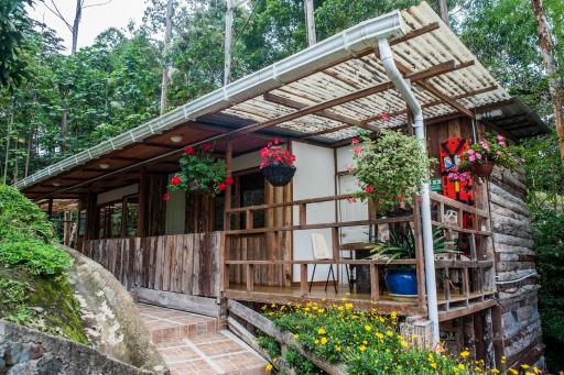 Hotel Selva Verde - Housity