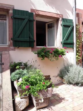 charmant petit appartement en Alsace - Housity