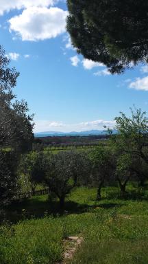 Agriturismo Tenuta di Vignale - Housity