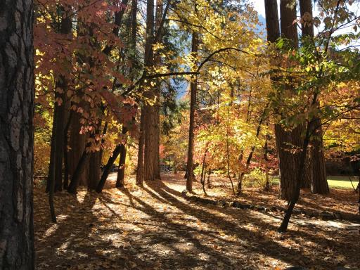 Yosemite Condominium - Housity