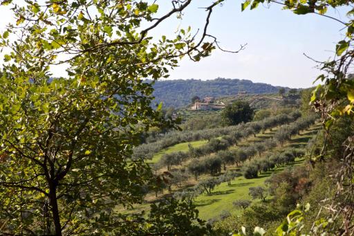 Villamari Nature&Rest farm - Housity