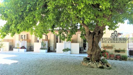 Il Gelso di Sofia B&B - Housity