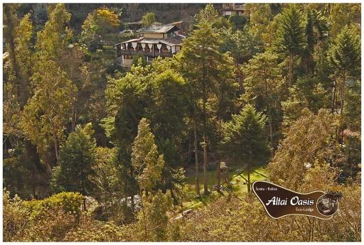 Altai Oasis Lodge - Housity