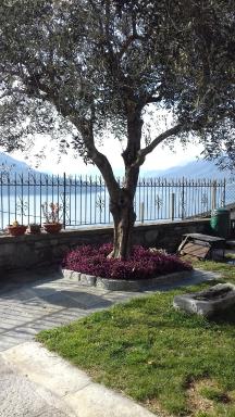 Casa Matilde - Housity