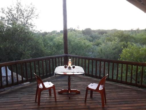 Little Bush Baby - Housity
