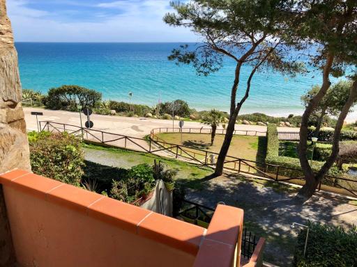 Pinus Village Apartments - Housity