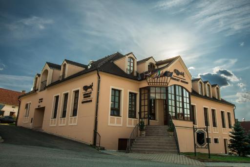 Zámecký penzion Kopeček - Housity