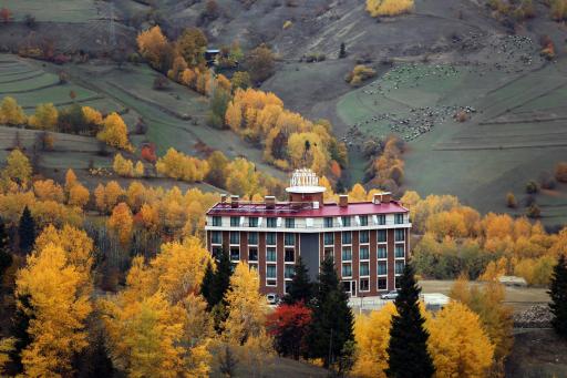 Black Forest Hotel - Housity