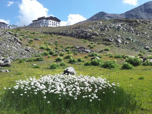 Hotel Folgore - Housity